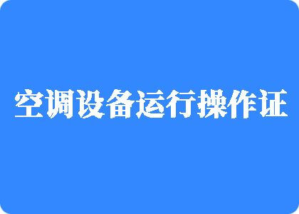 大屌爱操小逼逼网站制冷工证